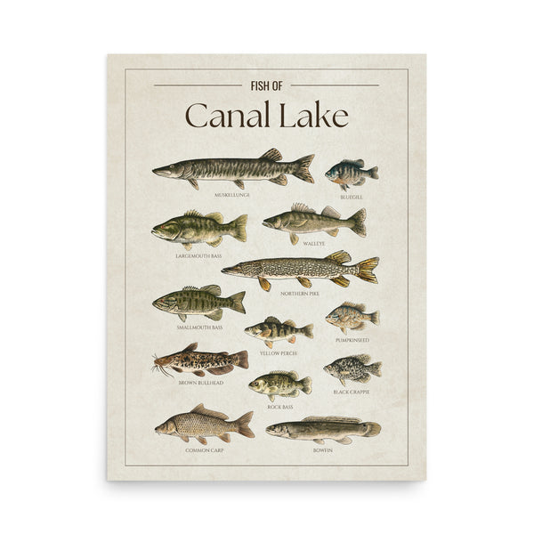 Canal Lake Print