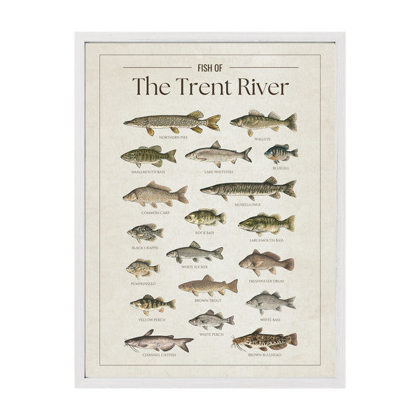 Trent River Print