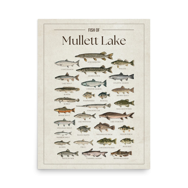 Mullett Lake Print