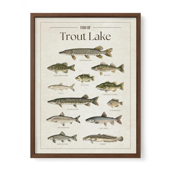 Trout Lake Print