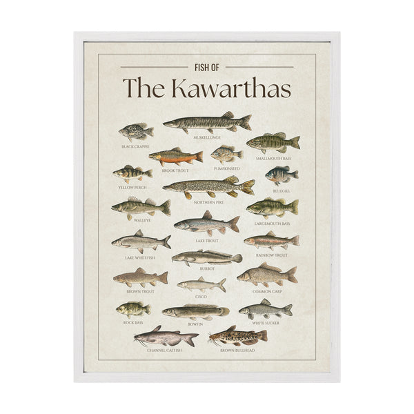 Kawarthas Print