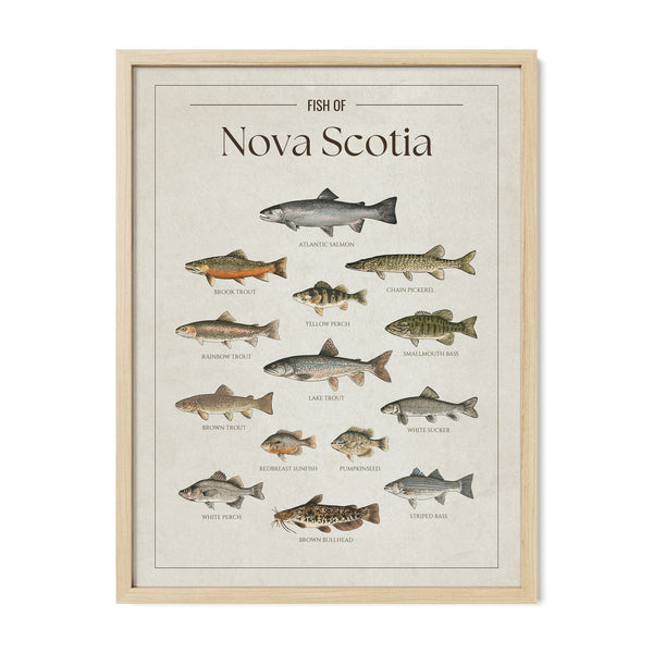 Nova Scotia Print