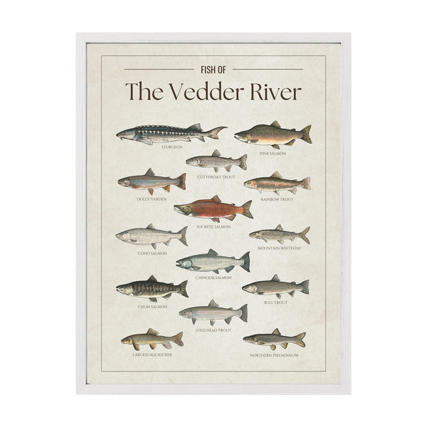 The Vedder River Print