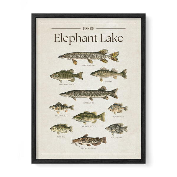 Elephant Lake Print