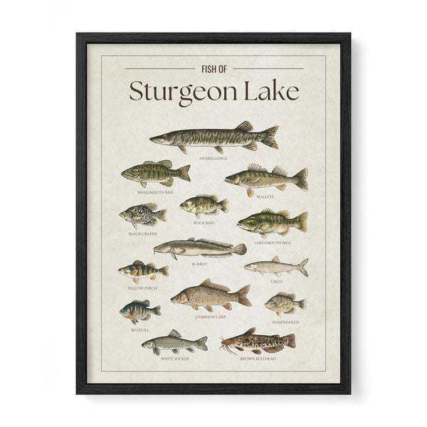 Sturgeon Lake Print