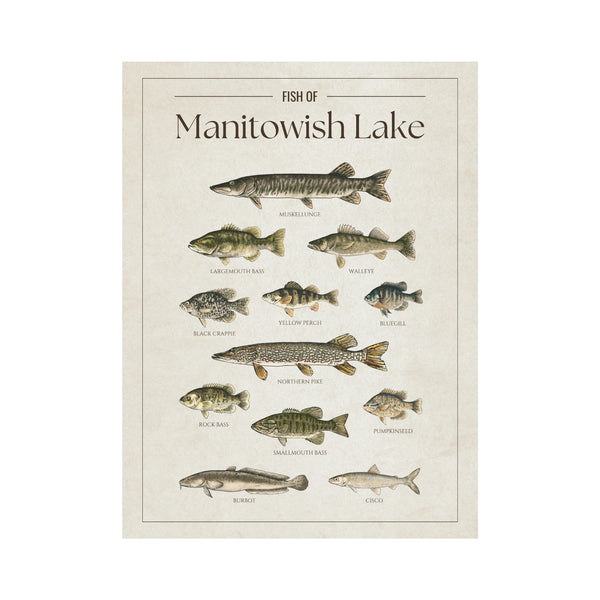 Manitowish Lake Print