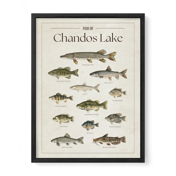Chandos Lake Print