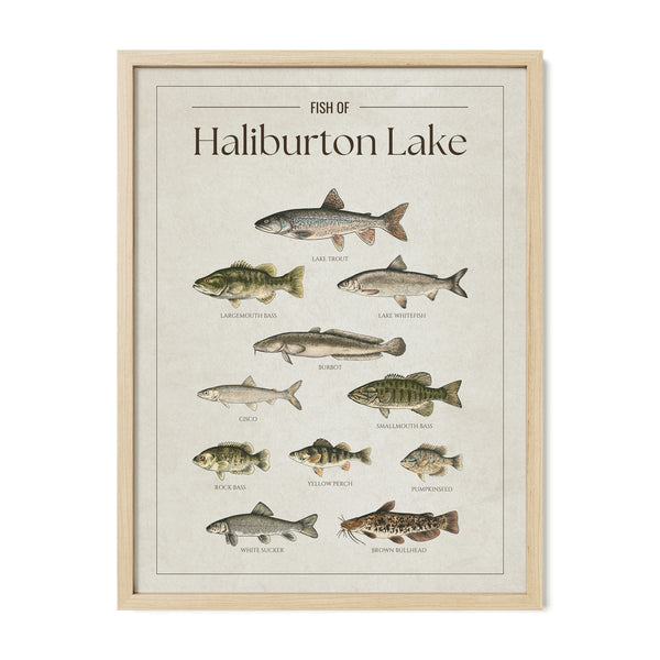Haliburton Lake Print