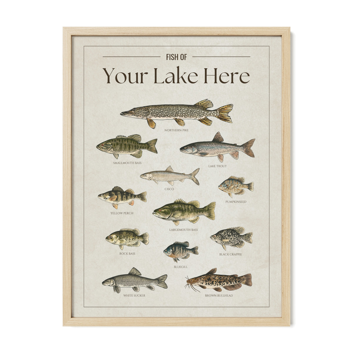 Custom Fish Print - Custom Fish Charts for Cottage – Fish Prints