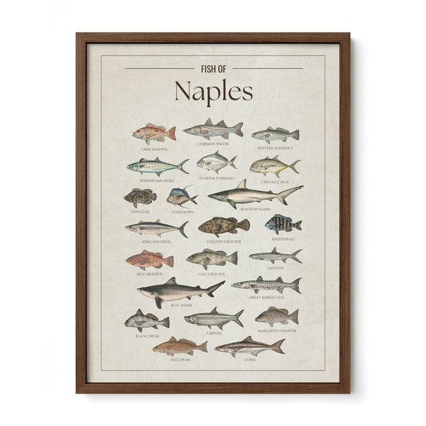 Naples Print