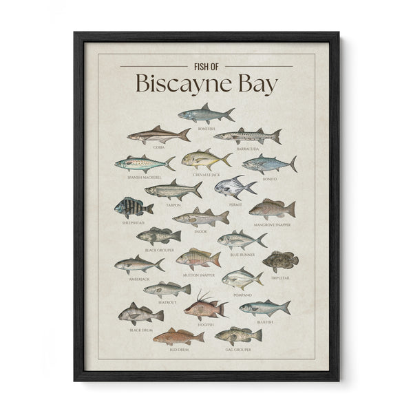 Biscayne Bay Print