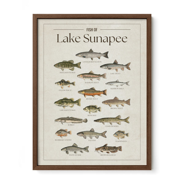 Lake Sunapee Print