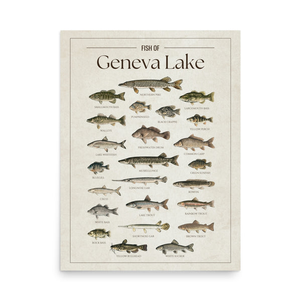 Geneva Lake Print