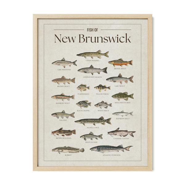 New Brunswick Print