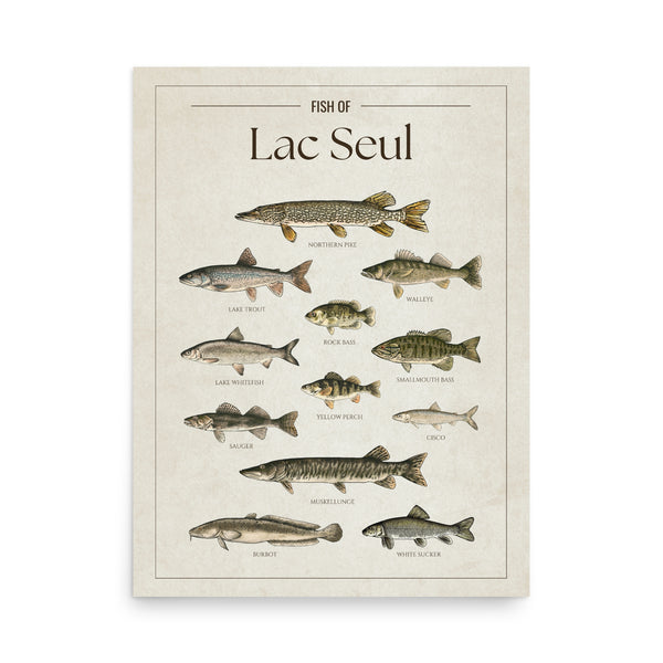 Lac Seul Print