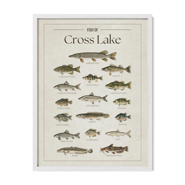 Cross Lake Print