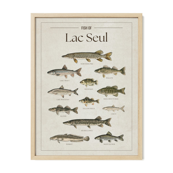 Lac Seul Print