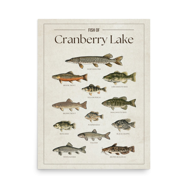 Cranberry Lake Print