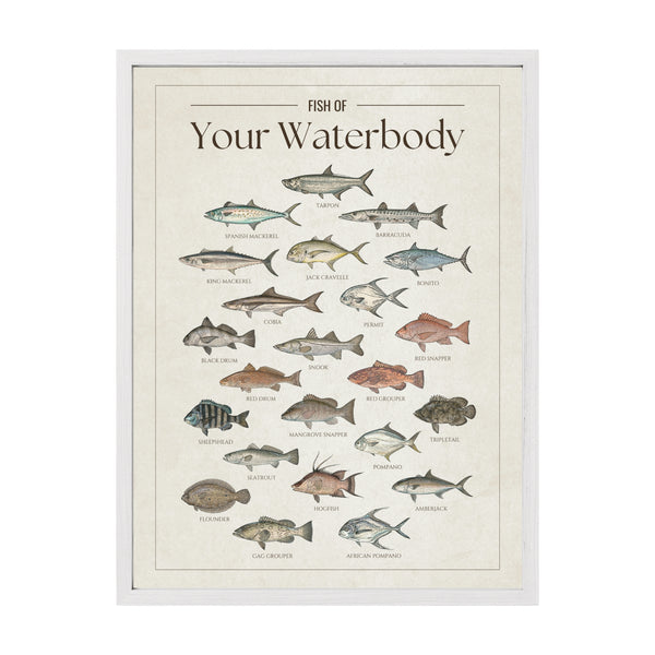 Custom Saltwater Fish Chart