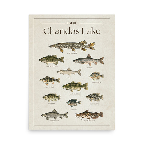 Chandos Lake Print