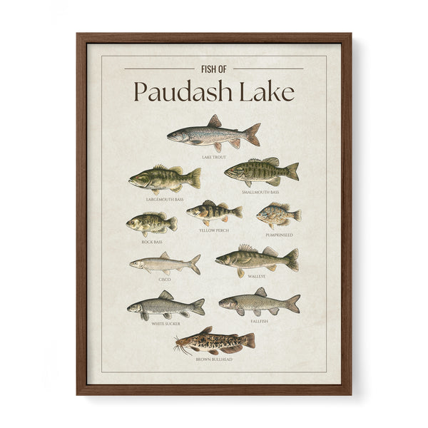 Paudash Lake Print