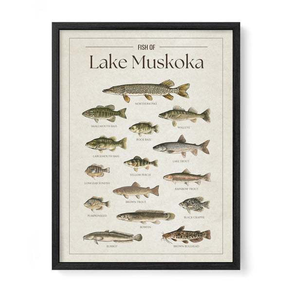 Lake Muskoka Print