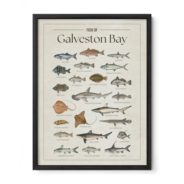 Galveston Bay Print