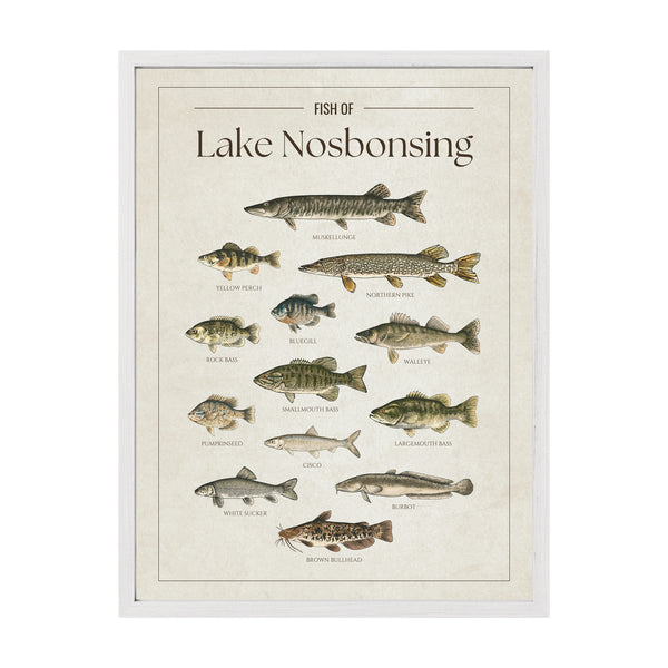 Lake Nosbonsing Print