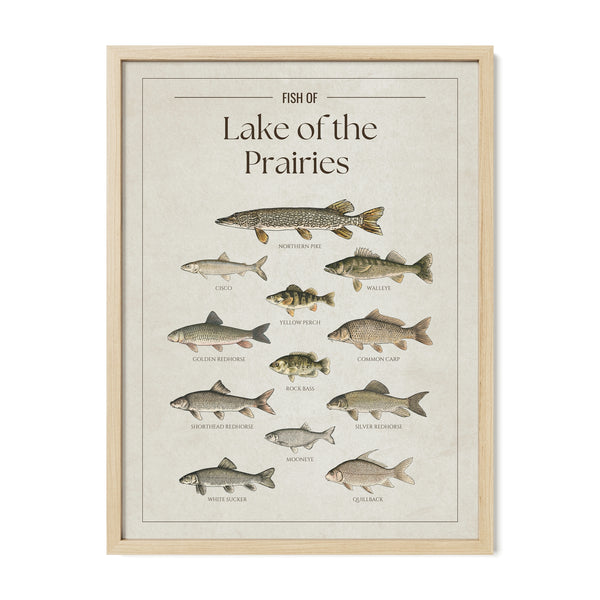 Lake of the Prairies Print