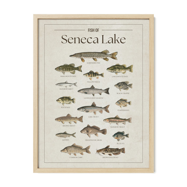Seneca Lake Print