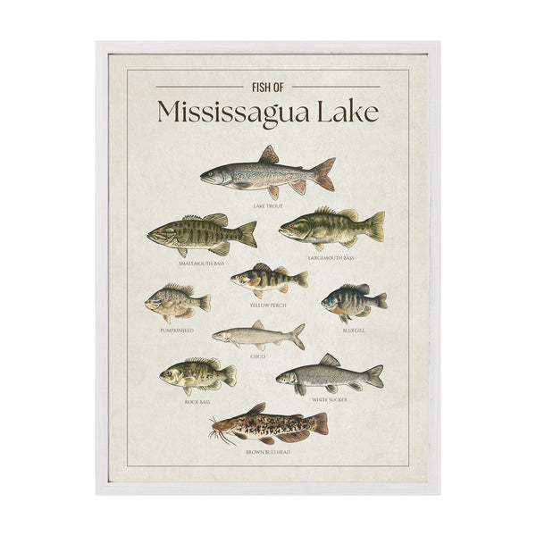 Mississagua Lake Print