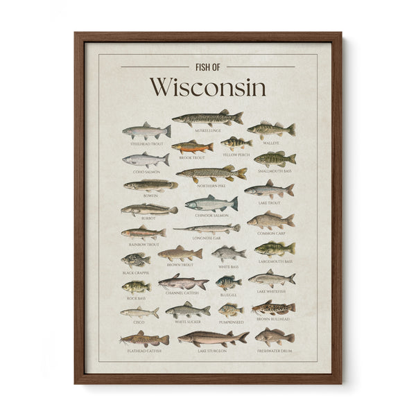 Wisconsin Print