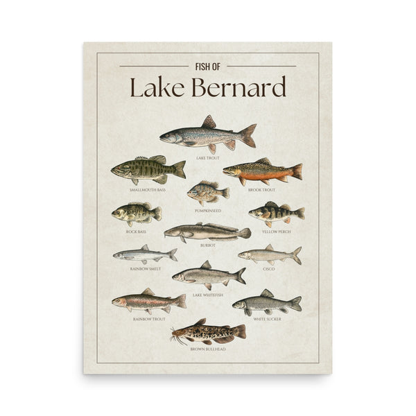 Lake Bernard Print