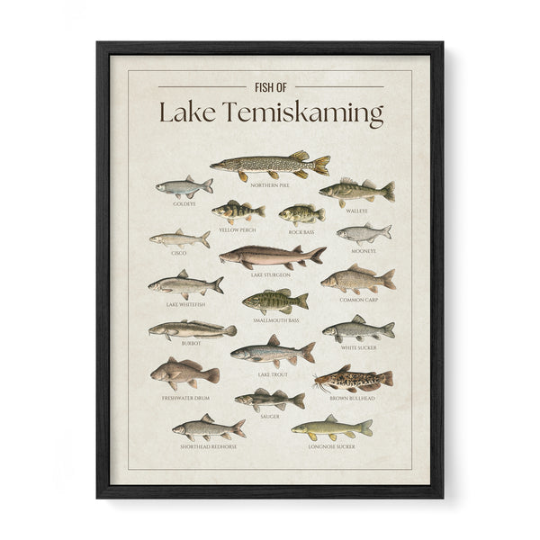 Lake Temiskaming Print