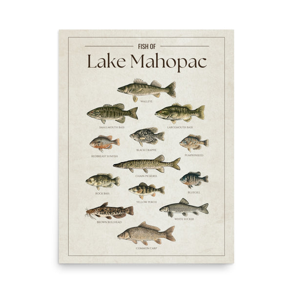 Lake Mahopac Print