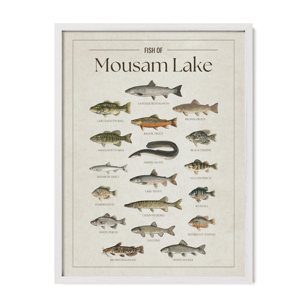 Mousam Lake Print