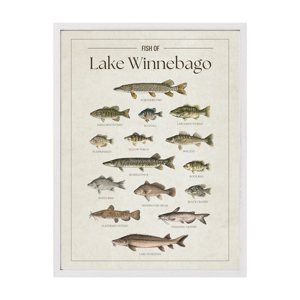 Lake Winnebago Print