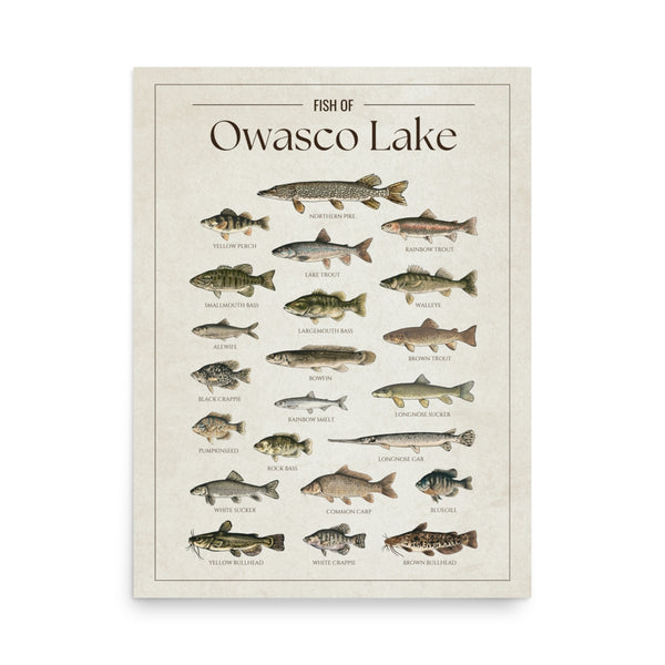 Owasco Lake Print