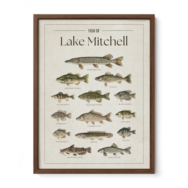 Lake Mitchell Print