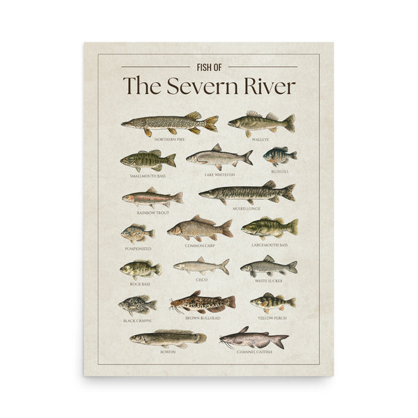 Severn River Print