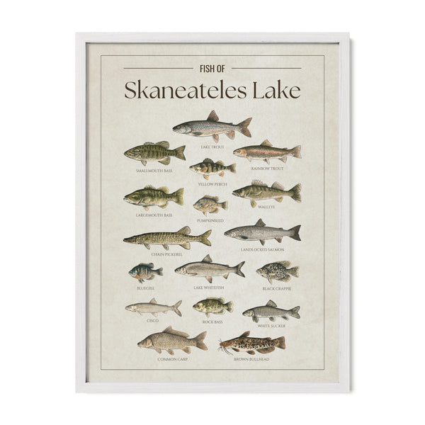 Skaneateles Lake Print
