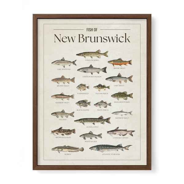 New Brunswick Print