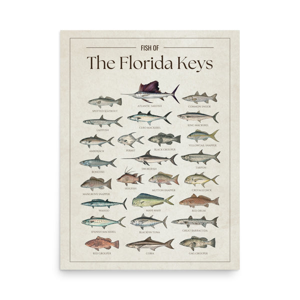 The Florida Keys Print