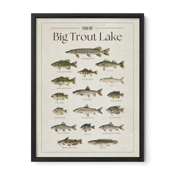 Big Trout Lake Print