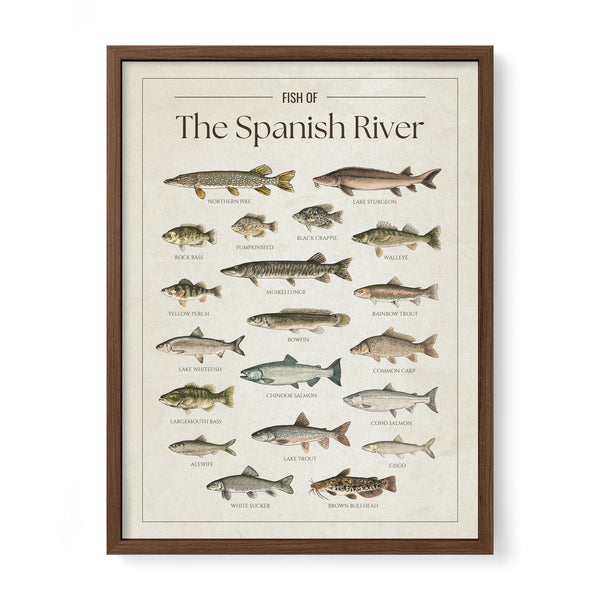 Spanish River Print
