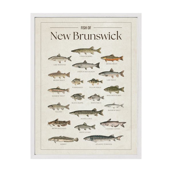 New Brunswick Print