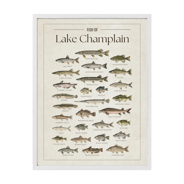Lake Champlain Print
