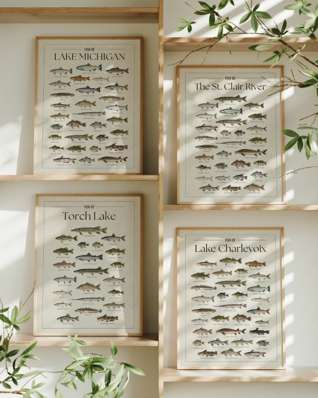Fish Prints