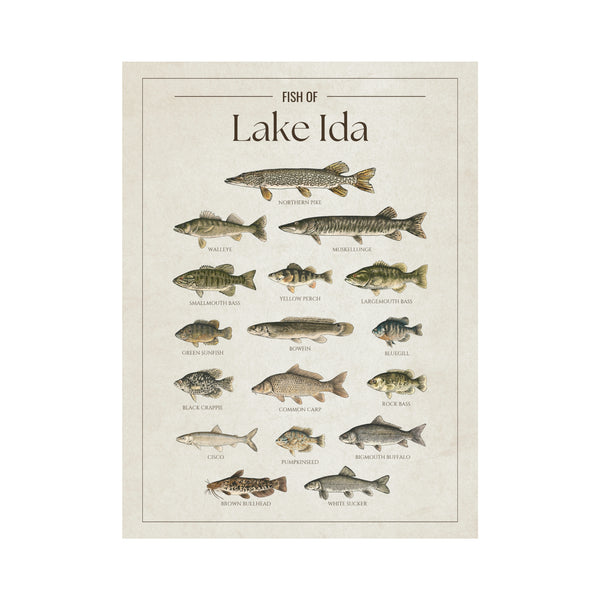 Lake Ida Print