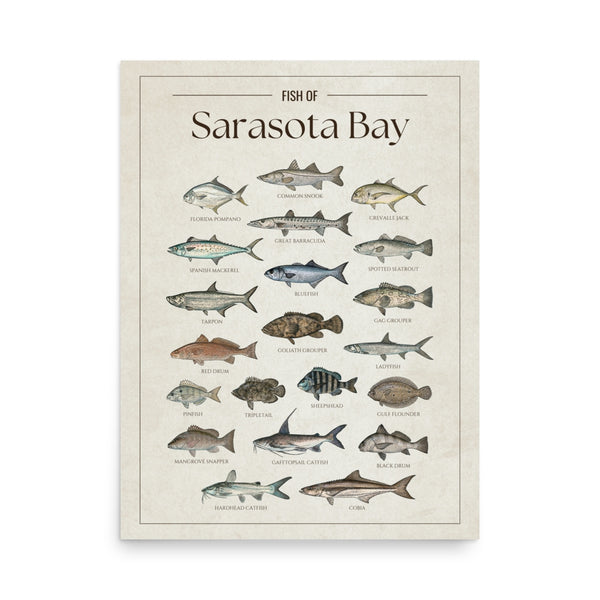 Sarasota Bay Print